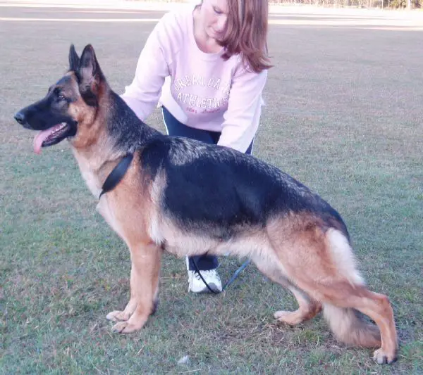 Kantenna Red Tartan A Z BScl 1