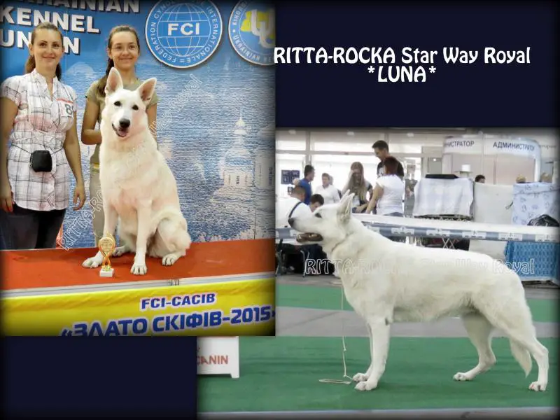 CH UA, JCH UA RITTA-ROCKA Star Way Royal