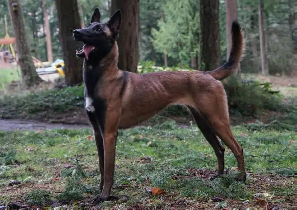 Cher Car's A Storm Warning