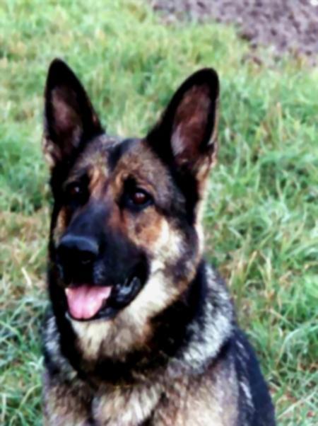 Gitta vom Rummelplatz