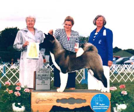 AKC CH Regalia's Echo In The Woods