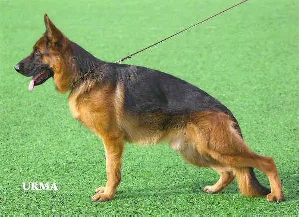 2 x VA1 (KZ) Emil von Tronje