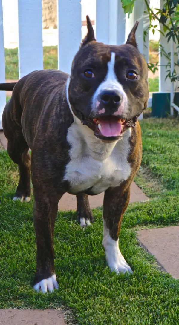 Shonuff's Double Decker @ Canyon