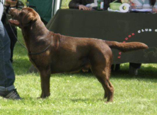 Show Me The Way Ethan for Aldamity