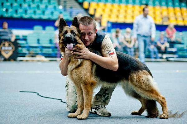 CH.PL,1 X CACIB DONA znad Skawy (Coffee)