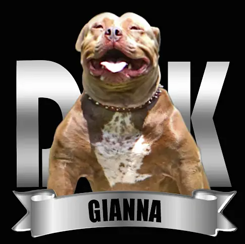 DDK9's Gianna