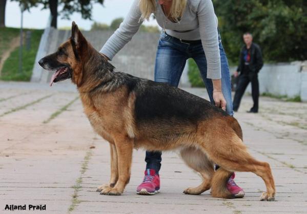 Peppi Dlinniy Chulok