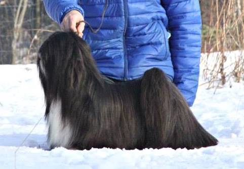 SIIMLINE HER MAN CHIC CHOIX