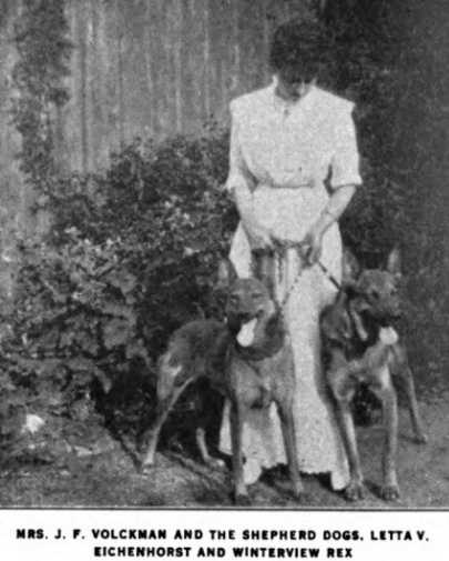 Letta von Eichenhorst