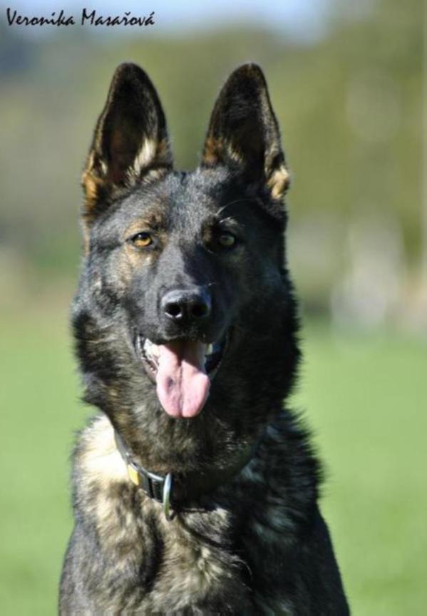 SG Caramel ze Stribrneho kamene