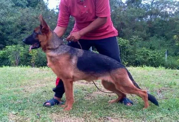 Trude vom Emkendorfer Park