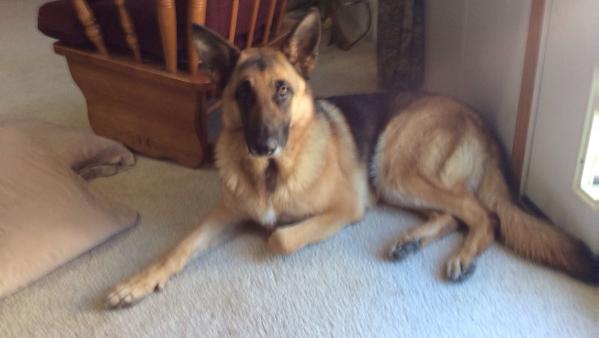 You Can Run But You Cant Heidi