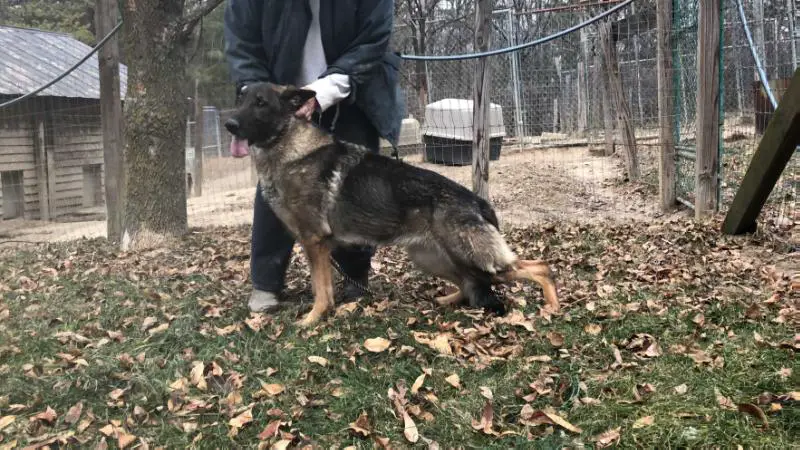 Aramist's Fifty Shades of Grey