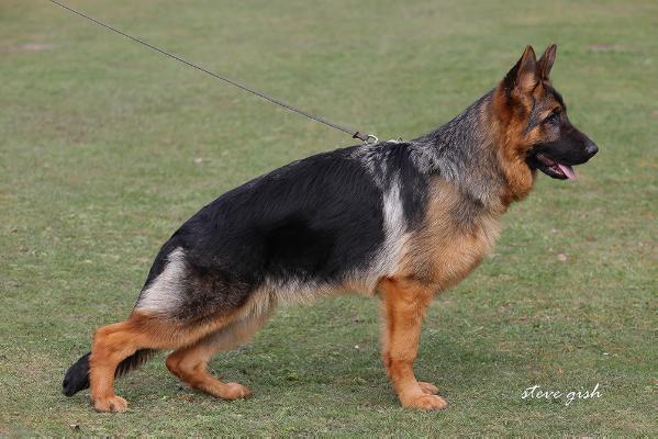 Zidana vom Elzmündungsraum