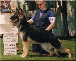 Sirius Park's Sophistication