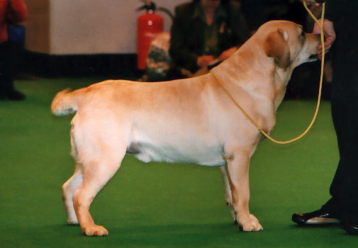 CH SH UK Carpenny Anchormann