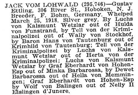 Jack von Lohwald