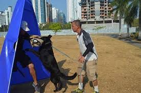 Aschley Vamoz Bohemia