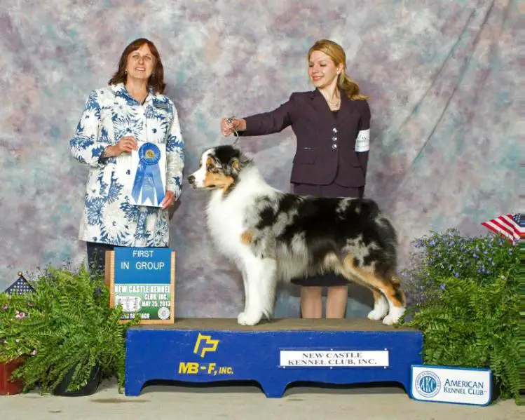 MBIS GCH Impacts Pop Rocks