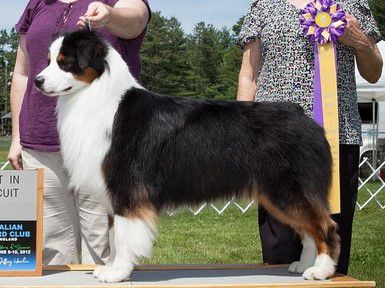 Crofton's Fat Chance