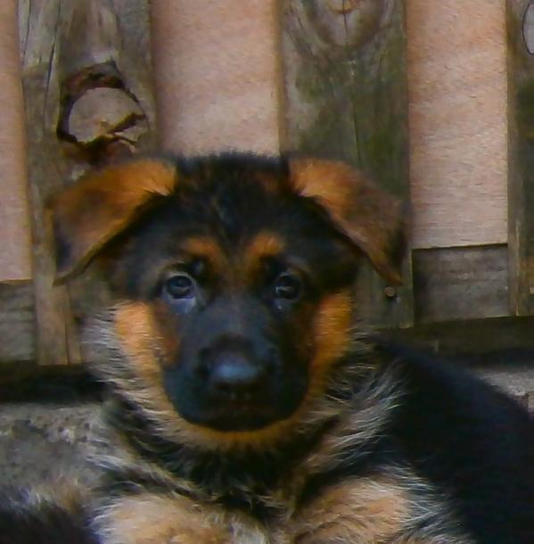 Miely de la Rivera Azul