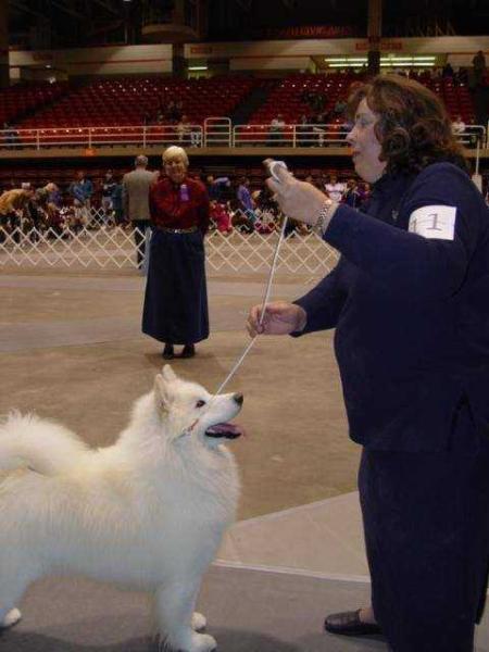 CH Polar Mist's First Gyr of Kameo