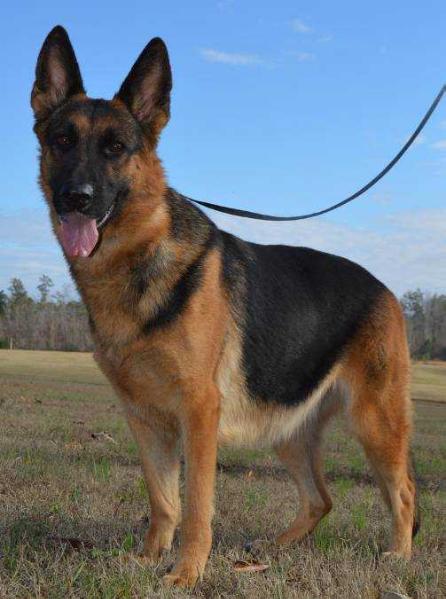 Nakita vom Appleridge