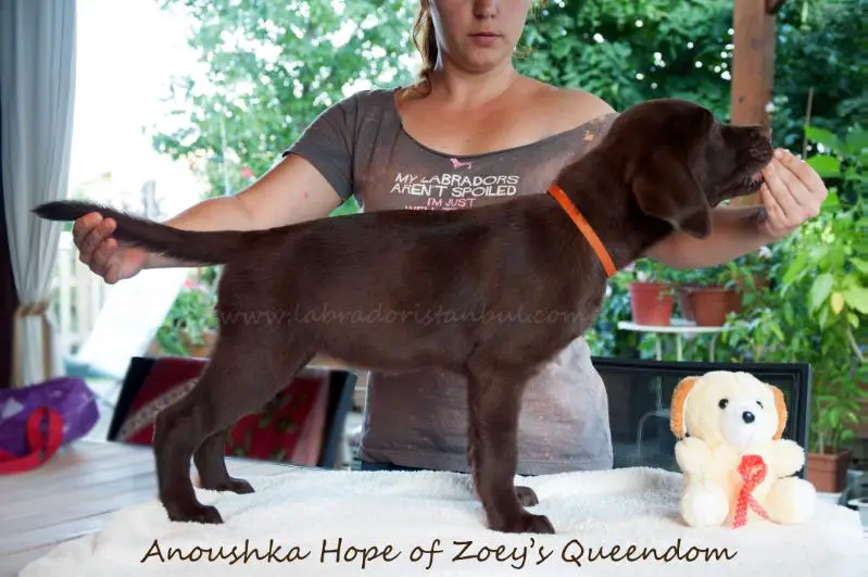 Anoushka Hope of Zoey's Queendom