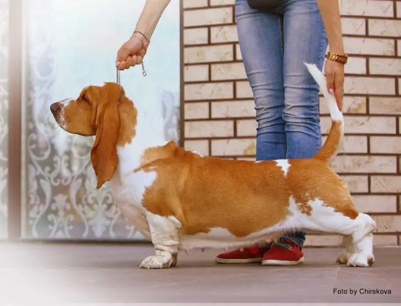 Ure My Beauty v Grunsven