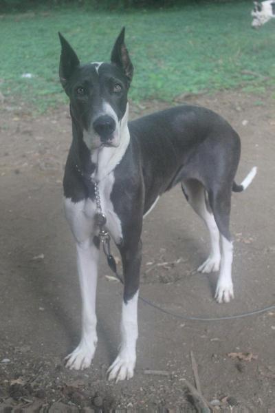 WWD's Blue moon over Nova Scotia