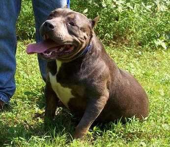 BLUEMARK'S MARIAH OF ROME