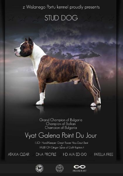 Grand Ch. BG Ch.Balkan Ch.Bulgaria Vyat Galena Point Du Jour