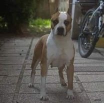 PASIRO CRAZY GIRL IN HIGHWAY