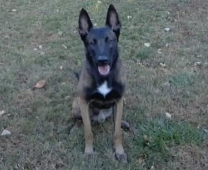 Basko V.D. Prosperhoeve