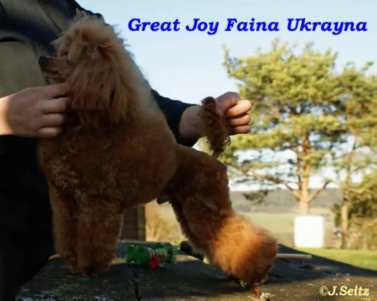 Great Joy Faina Ukrayna