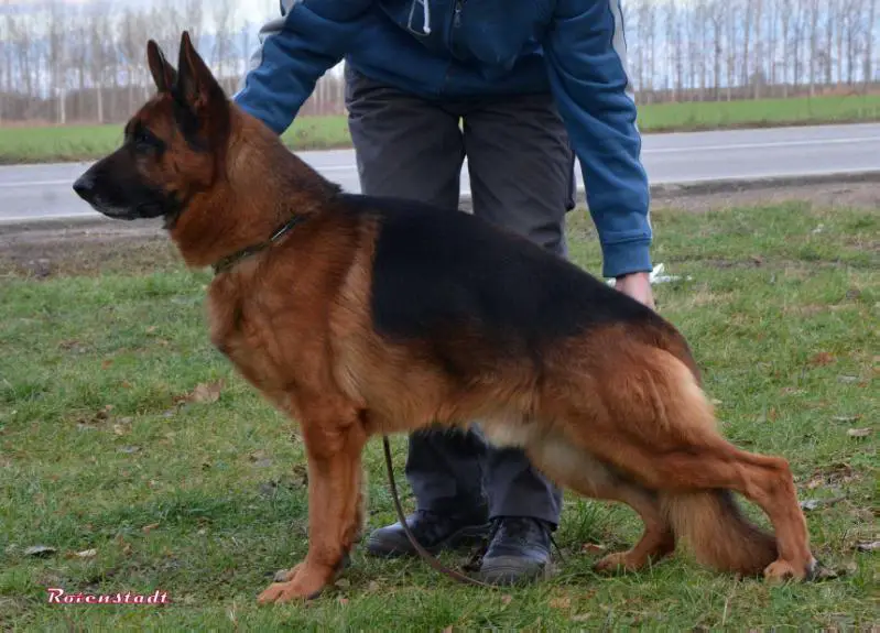 V3 Jaci s Style Charly