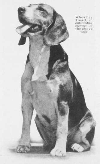 Wheatley Trinket (~1920)