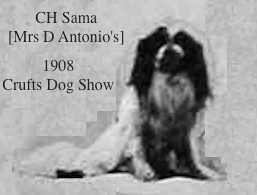 CH (Eng) Sama [Mrs D Antonio's]