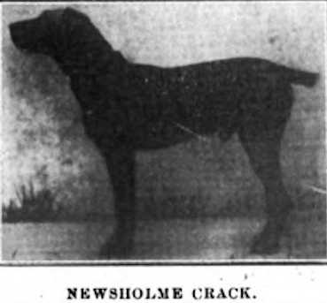 Newsholme Crack