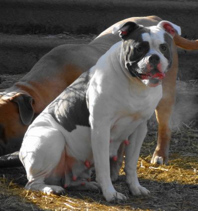 Miss Mia Blue of SABK