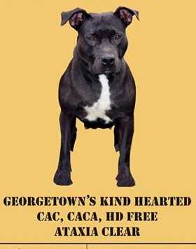 Georgetown's Kind Hearted
