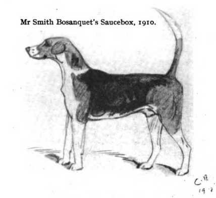 Saucebox (1910) [Mr Smith Bosanquet's]