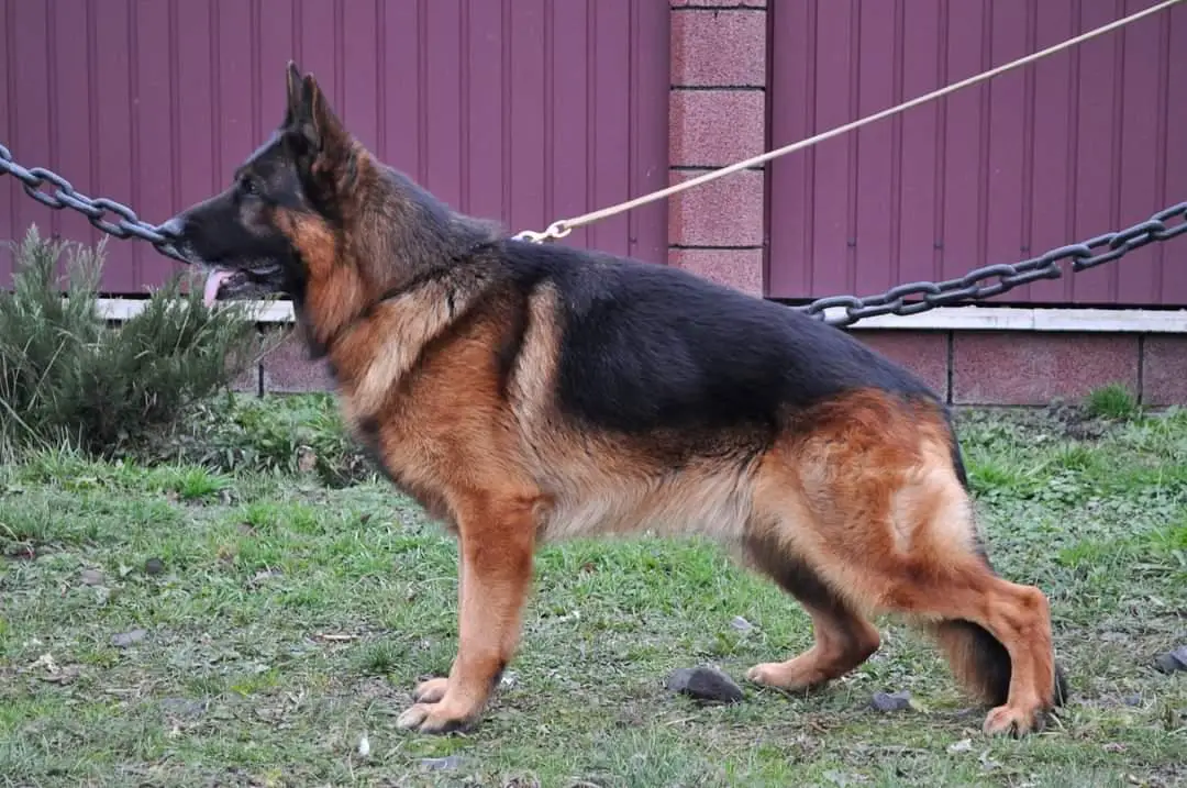 V Maylo von Farhantal