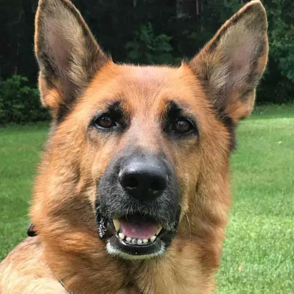 Lindenhof's Nala's Sail