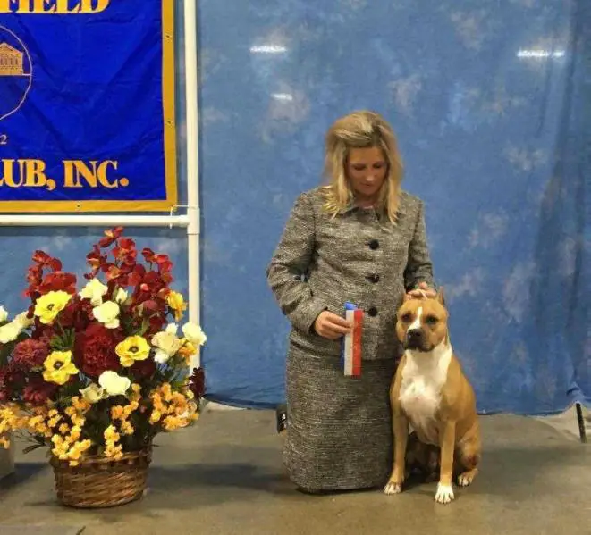 AKC Champion, RSM Champion, Giovane Promessa ENCI, JRSM Cham Princess Annamaria