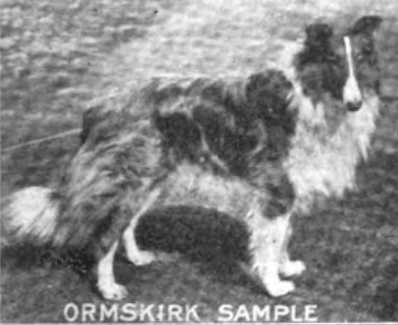 Ormskirk Sample 139194