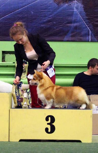 CH RUS, RKF, RUS, KAZ, TUR, CLUB, GCH, CACIB Style Life Never Better