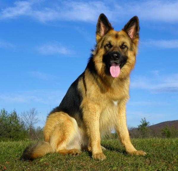 Stormhaven's Kaught In The Act Kolby