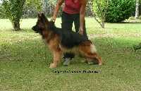 Galyss du domaine de Janasse