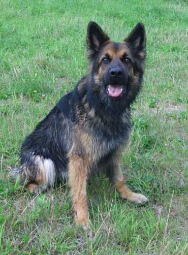 Aleshanee of Monwan Hopini